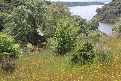 Plano de Cabañas en los Árboles de Extremadura