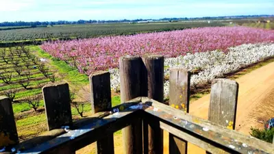 Jardín al aire libre en La Casita de Val