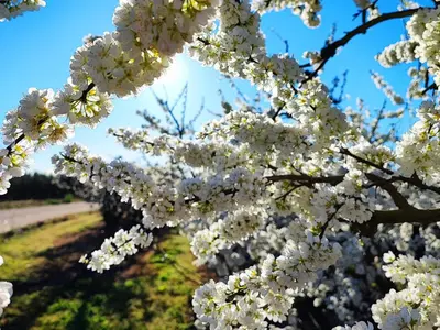 Jardín al aire libre en La Casita de Val
