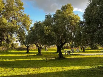 Jardín al aire libre en Mágica Casona entre olivos con piscina y chimenea