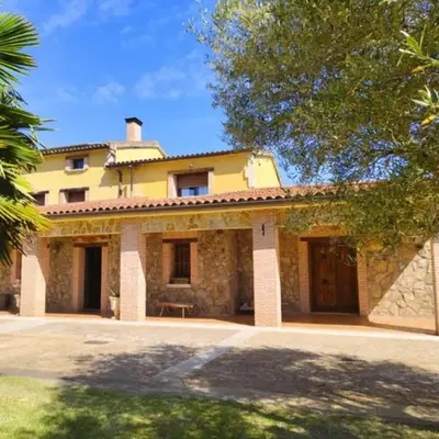 Los Olivos de Miróbriga