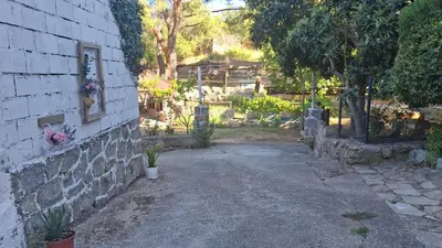 Jardín al aire libre en Finca 13 Ramas