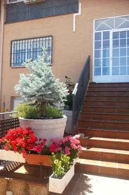 Jardín al aire libre en Apartment Montesol-Ferienwohnung by Interhome