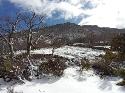 Paisaje cerca de este apartamento