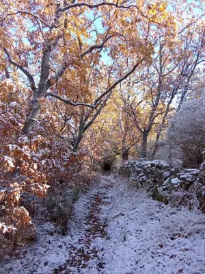 Paisaje cerca de este apartamento