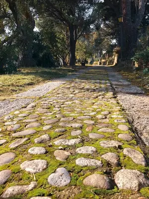 Plano de La Higuerilla, Finca Casas del Tormes