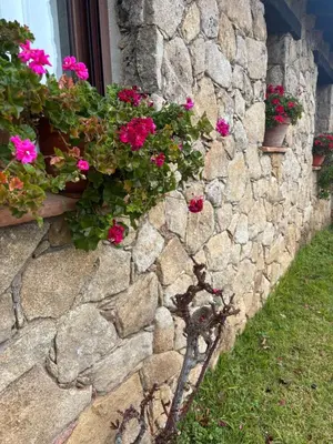Jardín al aire libre en La Casa de La Grilla