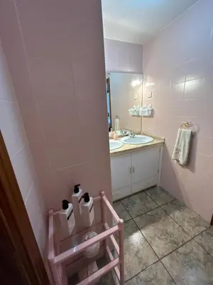 Un baño de Palmera