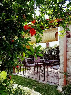 Jardín al aire libre en La Costanilla de los Angeles