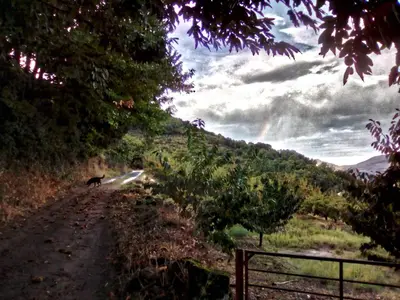 Paisaje cerca of this country house