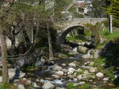 Paisaje cerca de este hostal o pensión