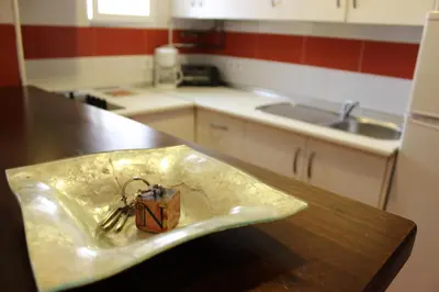 Una cocina o zona de cocina en Apartamentos Nundinae