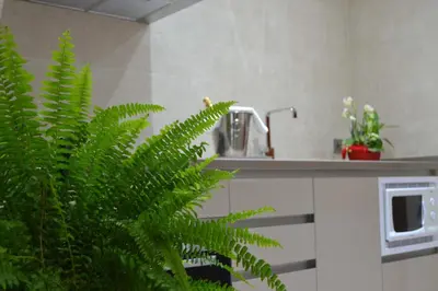 Una cocina o zona de cocina en Apartamento Santa Eulalia