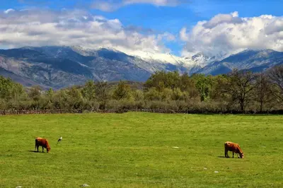 Paisaje cerca de este apartamento