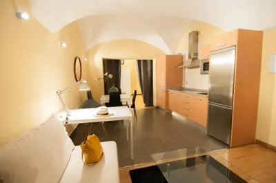 Una cocina o zona de cocina en Apartamentos de la Parte Antigua de Cáceres