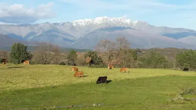 Paisaje cerca de este hostal o pensión