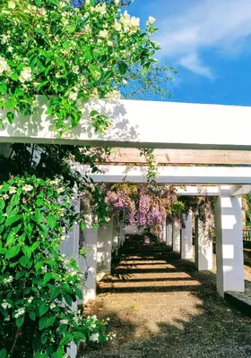 Jardín al aire libre en Casa Rural Castillo de Cáceres