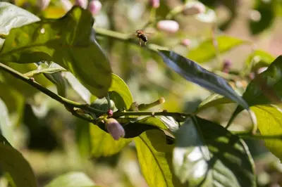 Jardín al aire libre en Casa Rural Valdezaque