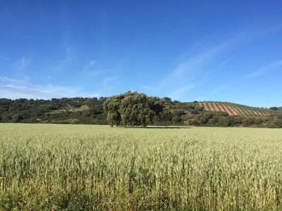 Paisaje cerca de este apartamento