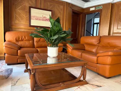Zona de estar de Hotel Amefa
