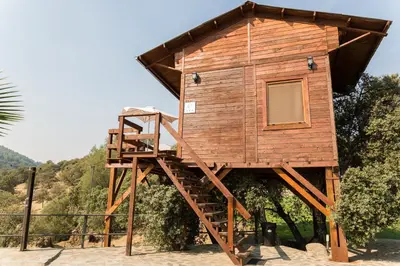 Paisaje cerca of this country house