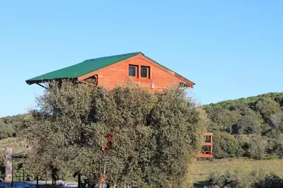 Paisaje cerca of this country house