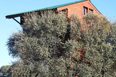 Edificio en el que se encuentra the country house