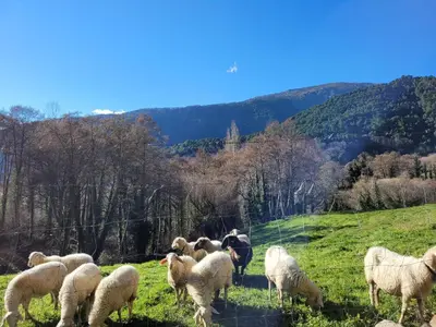 Paisaje cerca of this country house
