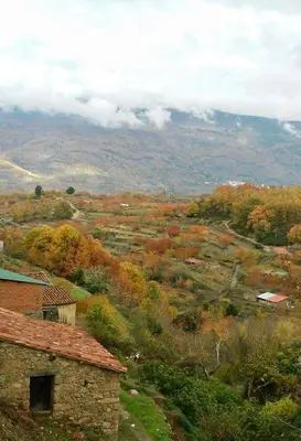 Paisaje cerca of this country house