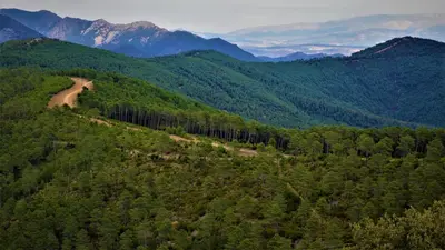 Paisaje cerca of this country house