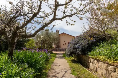 Jardín al aire libre en Casa Valeriana