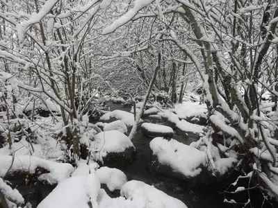 Casa de la Cigüeña en invierno