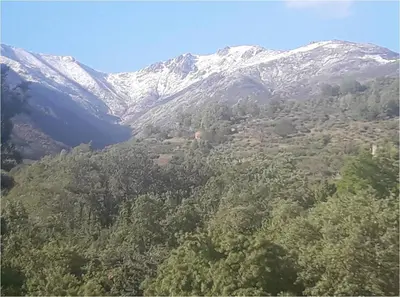 Paisaje cerca de este hotel