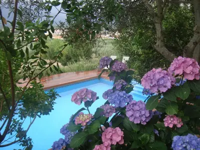 Piscina en o cerca de Casa Rural Rincón de la Fuente