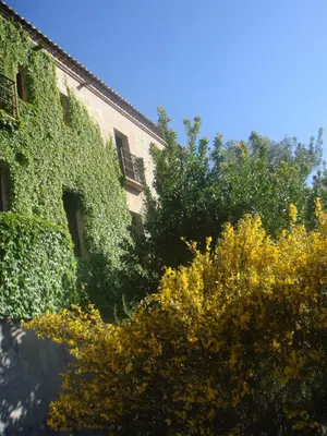 Jardín al aire libre en Casa Rural Rincón de la Fuente