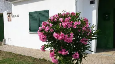 Jardín al aire libre en Casa Rural San Blas