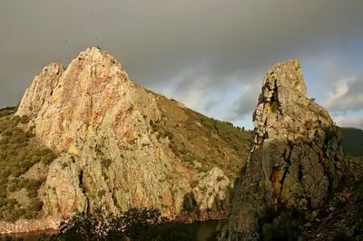 Plano de Bungalows Camping Parque Nacional de Monfragüe