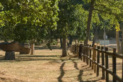 Jardín al aire libre en Casa Rural La Rana