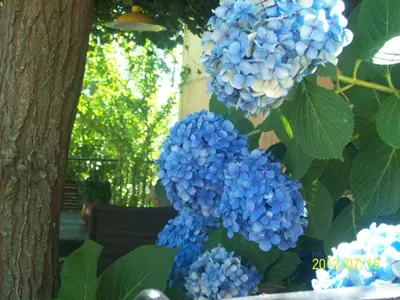 Jardín al aire libre en Casa Rural El Fortin