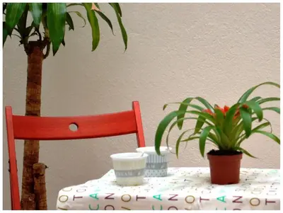 Plano de Colegiata Home