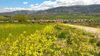 Paisaje cerca de esta casa o chalet