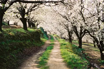 Paisaje cerca de este apartamento