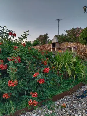 Jardín al aire libre en apartamentos turisticos la gitanilla