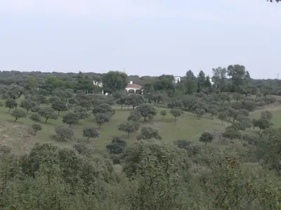 Paisaje cerca de esta casa o chalet