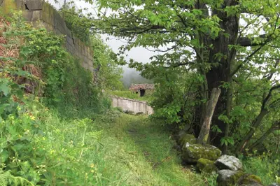 Paisaje cerca de esta casa o chalet