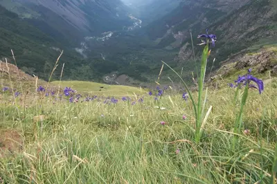 Paisaje cerca de esta casa o chalet