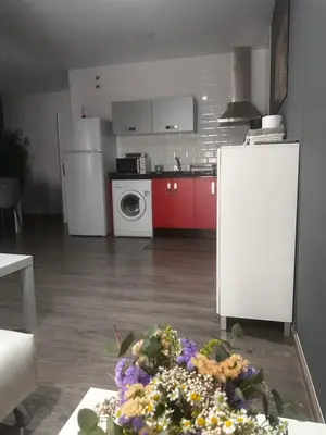 Una cocina o zona de cocina en Apartamentos Dacris