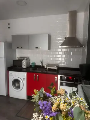 Una cocina o zona de cocina en Apartamentos Dacris