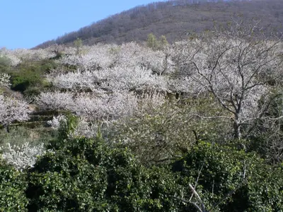 Paisaje cerca de este apartamento