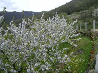 Paisaje cerca de este apartamento